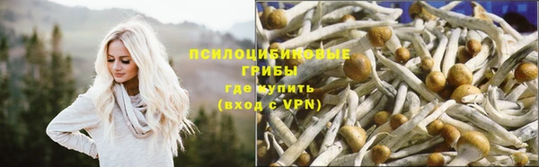 шишки Абинск