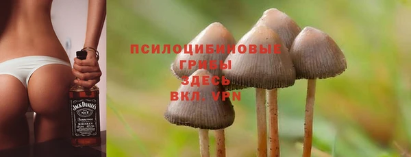 гашик Покровск