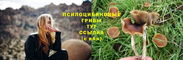 гашик Покровск