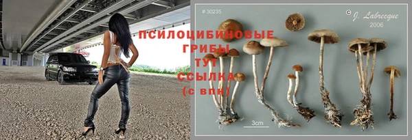 шишки Абинск
