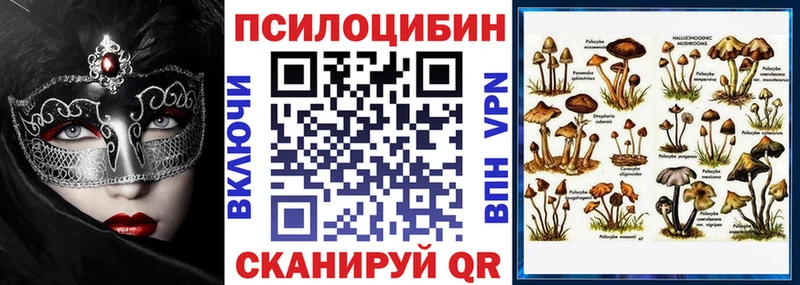 Псилоцибиновые грибы мицелий  Болотное 